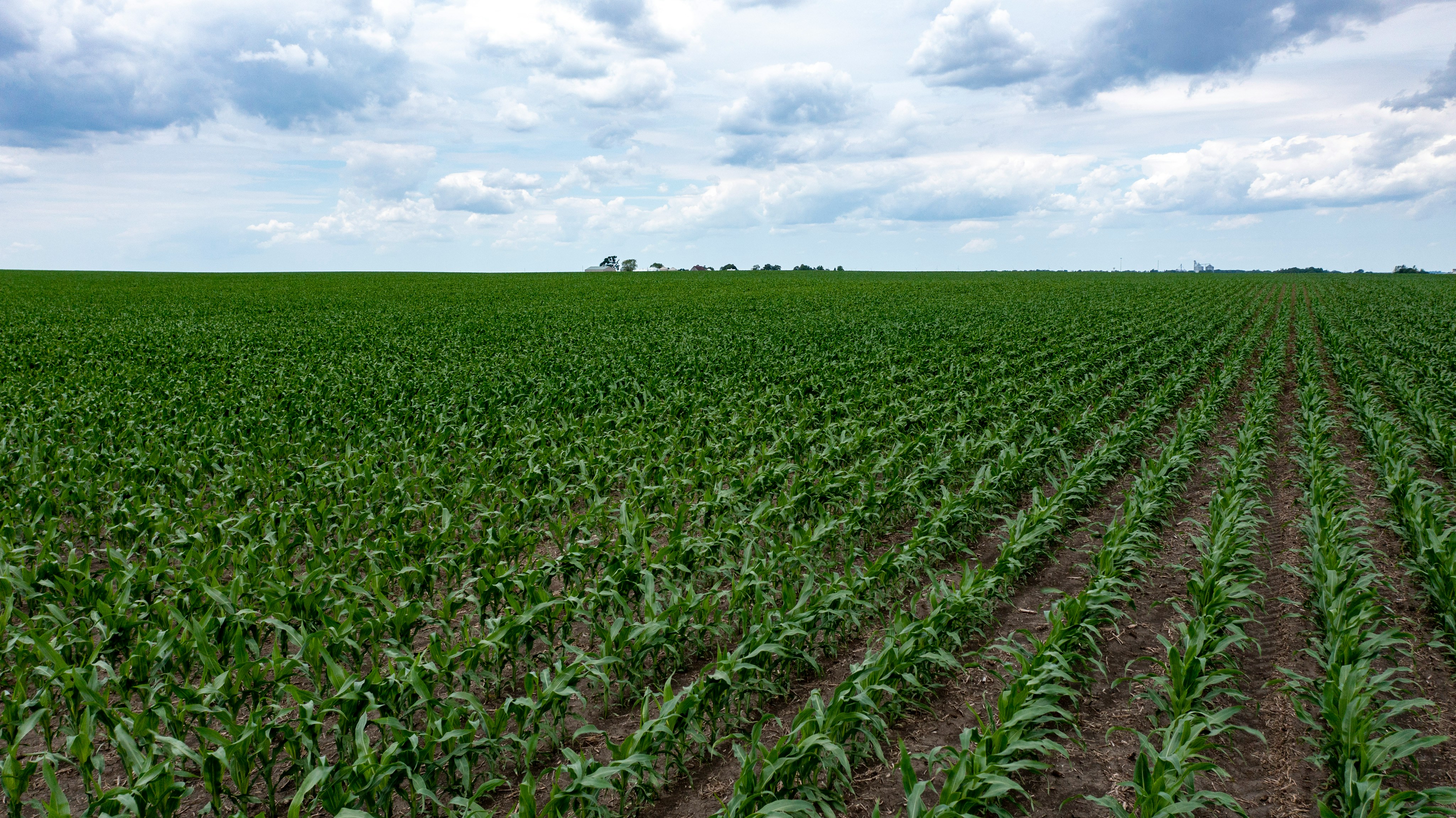 Photo by James Baltz on Unsplash